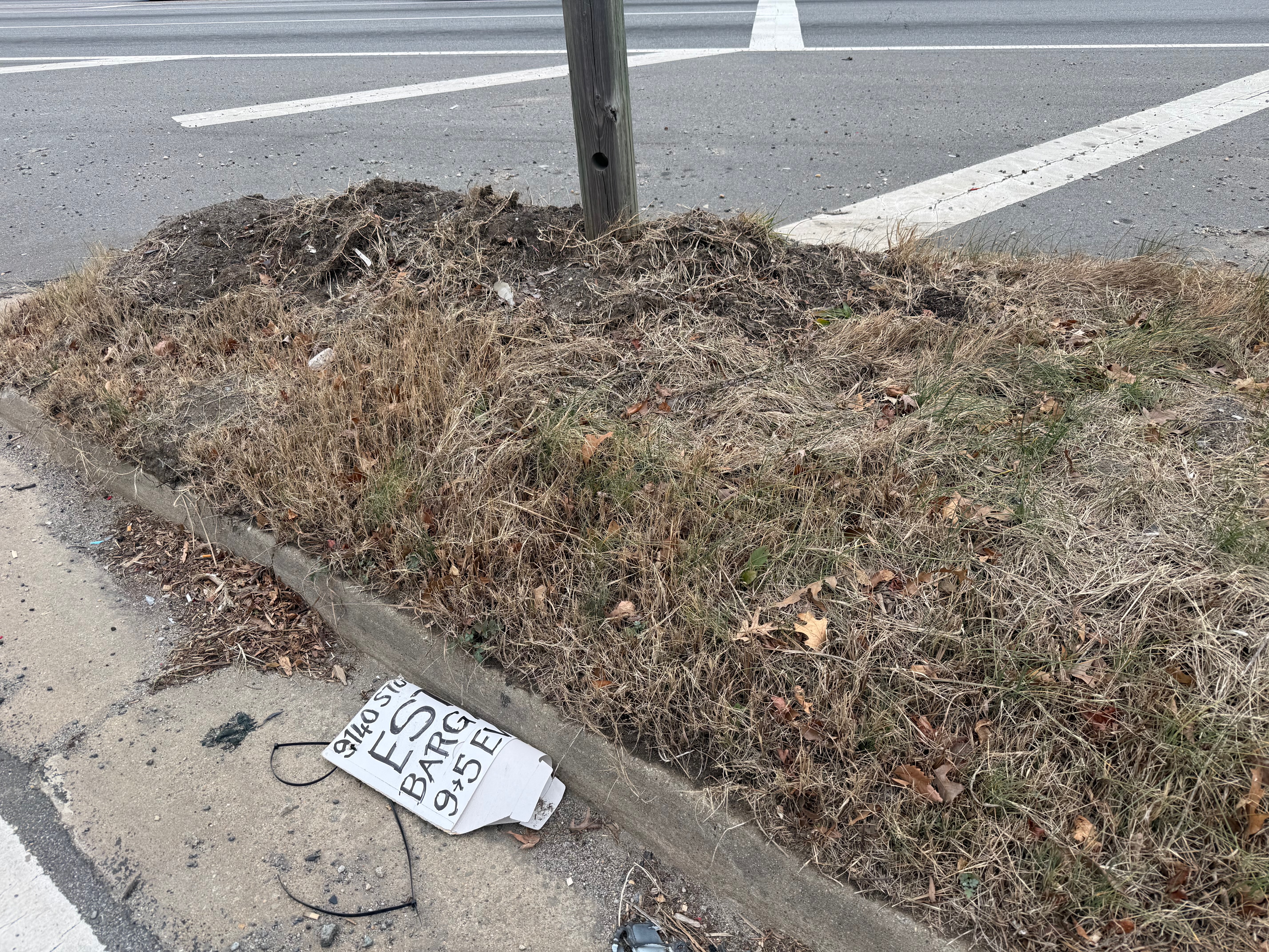 Beautify Lorton community cleanup